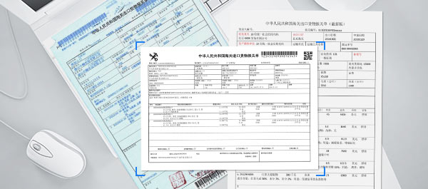 可快速、准确地识别和提取不同格式的进出口报关单信息