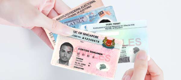 Un package de développement SDK peut être fourni pour faciliter l'intégration.